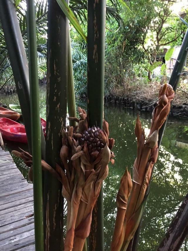 Отель Baan Glangsuan Bang Kobua Bang Chak Экстерьер фото